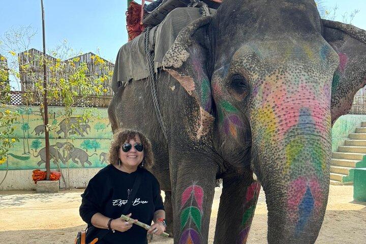 Private Jaipur-Tagestour mit Fahrer und Reiseleiter – alles inklusive