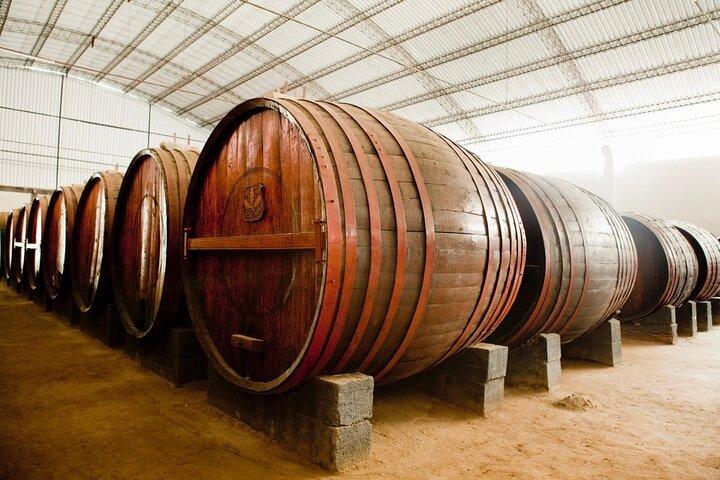 Ica : Wine & Pisco Tasting Tour - ワカチナ近郊のワインワード