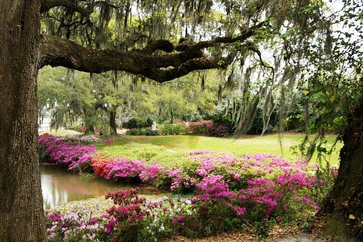 Day at Middleton Place with Chicora Tours