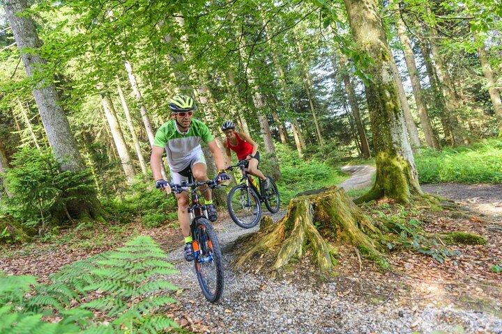 Etna per e-bike en wijnsmaakervaring
