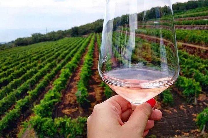 Etna by E-Bike and Wine Taste Experience
