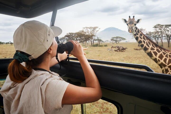 Private Full Day Kruger National Park Safari Tour from Hoedspruit