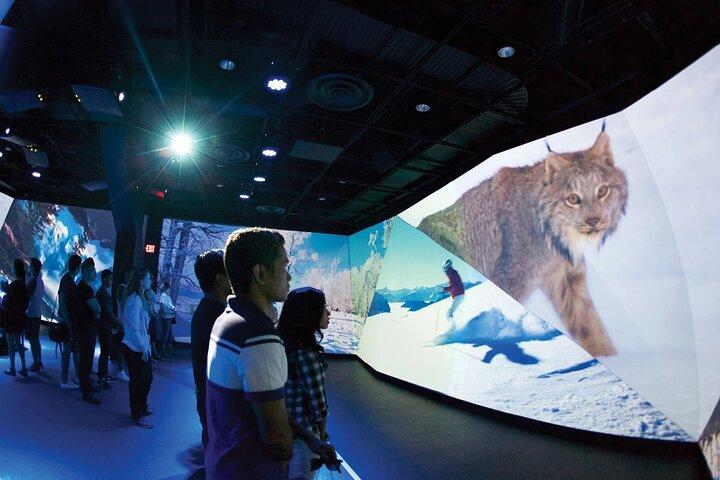 Flyover Vancouver : l'expérience du théâtre immersif