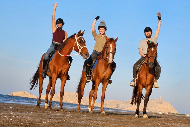 Ridning Muscat Beach