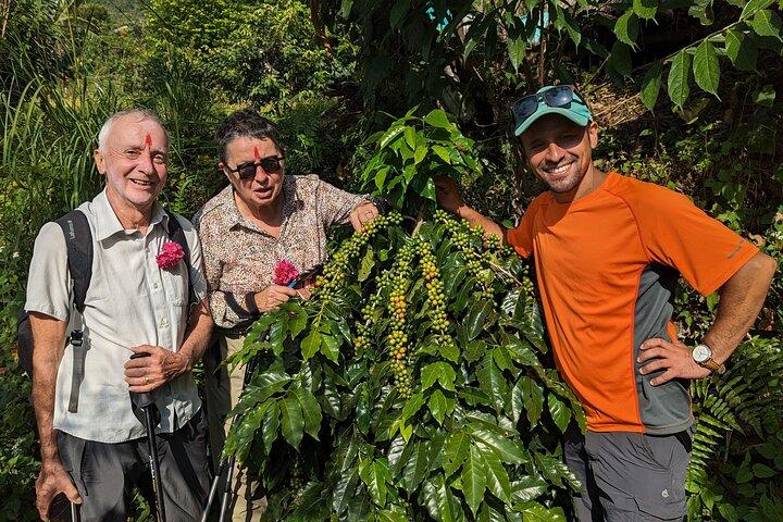Sarangkot Village Kaffeekultur und authentische lokale Lebenstour