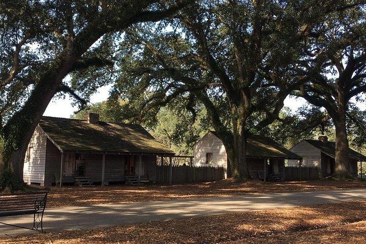 Oak Alley Plantation e passeio pela cidade de Nova Orleans