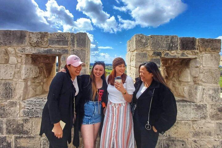 Pafos - Tour di archeologia e bellezza da Limassol