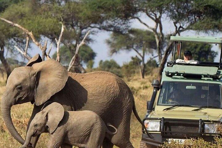 3-daagse Amboseli National Park Budget Safari op 4x4 Landcruiser Jeep