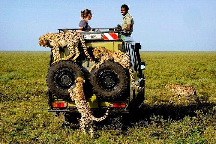 3-daagse Amboseli National Park Budget Safari op 4x4 Landcruiser Jeep