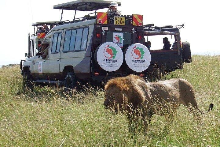 3 giorni dell'ottava meraviglia del mondo con il grande tour del Masai Mara