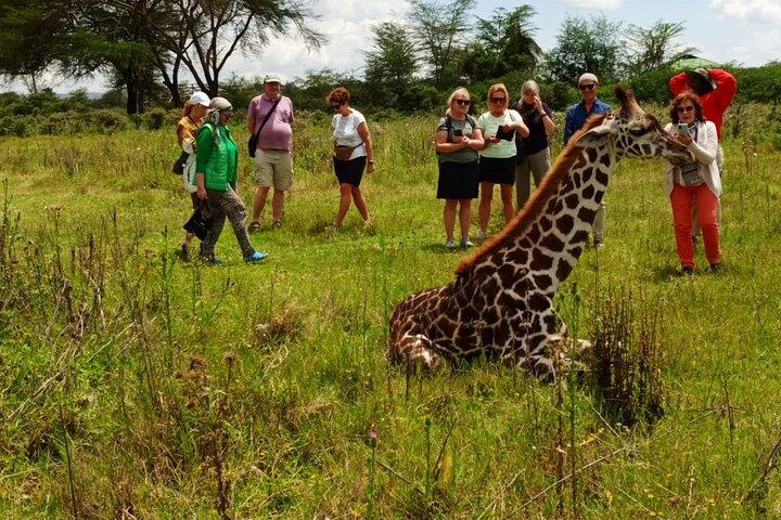 3 giorni dell'ottava meraviglia del mondo con il grande tour del Masai Mara