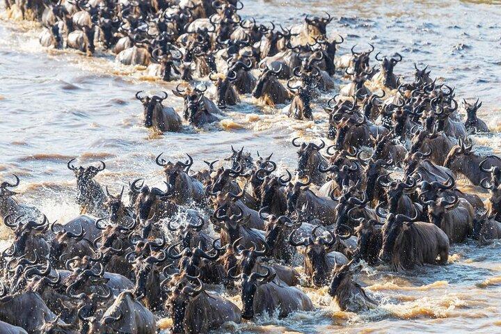 3 giorni dell'ottava meraviglia del mondo con il grande tour del Masai Mara