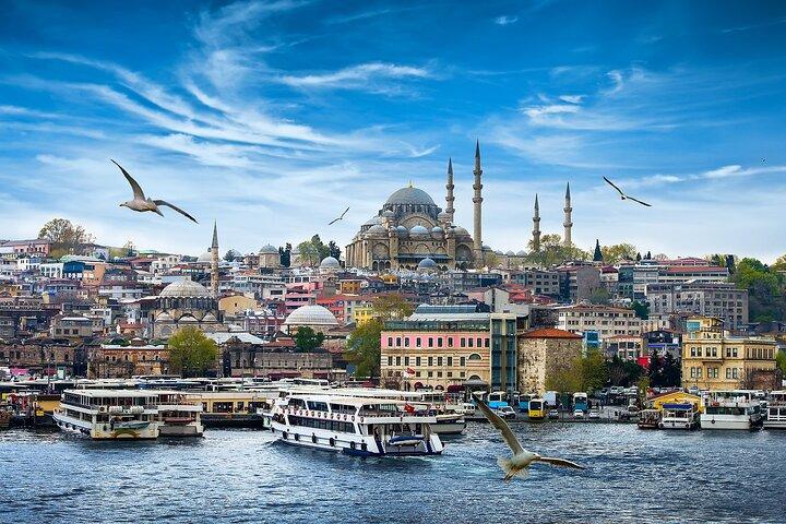 Majestic Istanbul: Walking Tour & Sunset Cruise on the Bosphorus