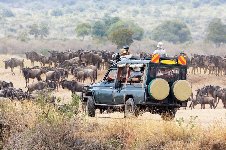 6-Day Amboseli, Nakuru, and Maasai Mara Safari on 4x4 Landcruiser