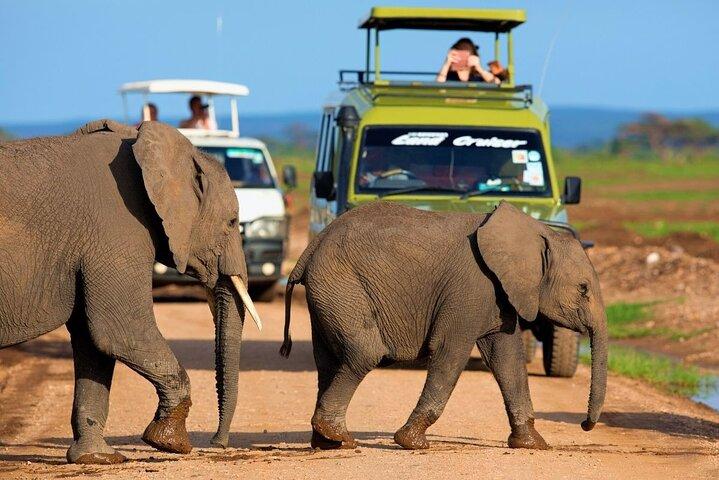 Safari Adventure in Kenya by 4x4 Jeep