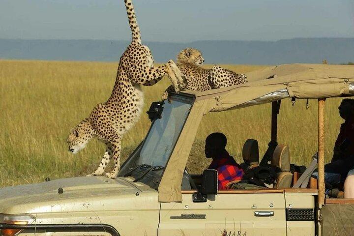 African Adventure: Arusha à Nairobi en six jours