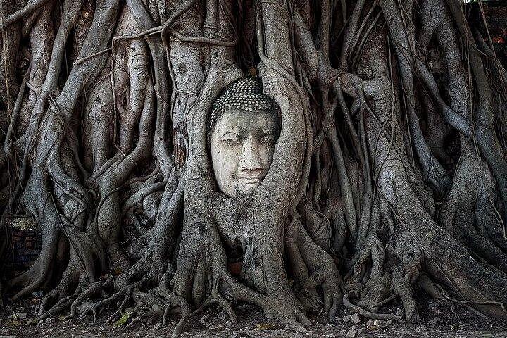 アユタヤの有名な寺院でのファンキーフロッギートゥクトゥク体験