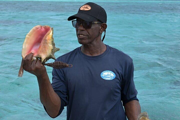 Stingray City e Snorkel Tour con pranzo