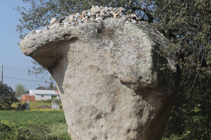 Excursion privée d'une journée avec Guide à Évora et Monsaraz