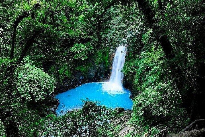Rio Celeste + Park + Sloth Sanctuary + Chocolate Coffee
