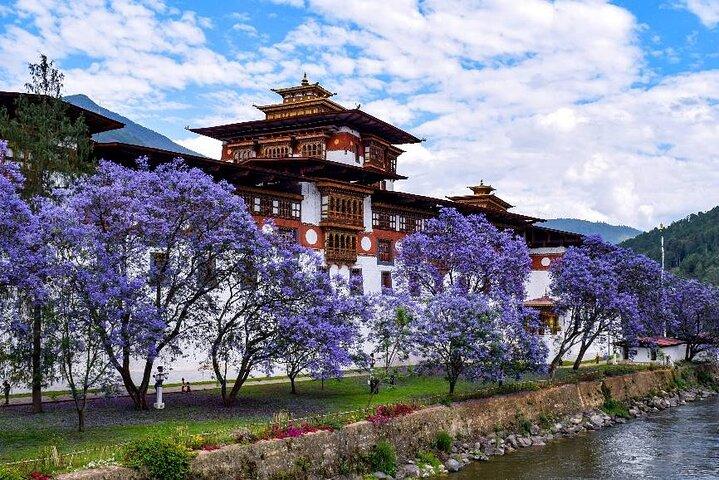Tour de Aventura de 9 Dias em Bhutan | Cultura, Natureza e Aventura
