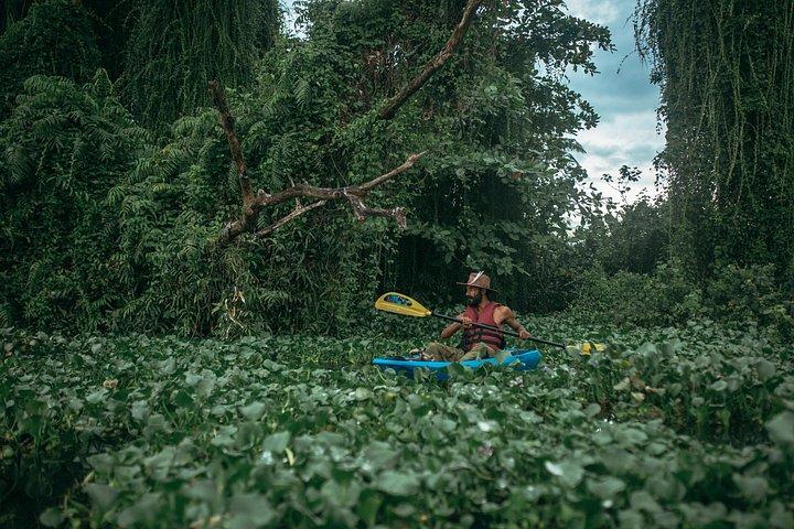 Sunset Kayaking in Hidden Alleppey Backwater Routes