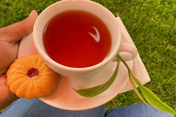 ナイロビ発キアンベス茶園ツアーとランチ