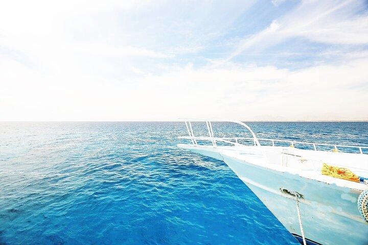 Ras Mohammed & White Island : Snorkeling, immersioni facoltative e pranzo