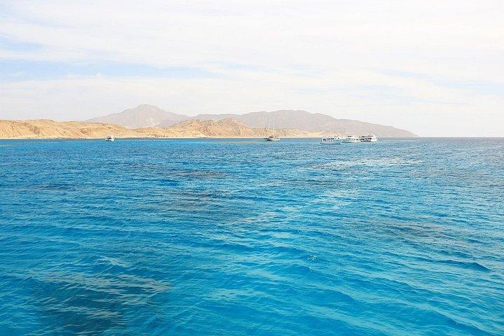 Ras Mohammed & White Island : Snorkeling, immersioni facoltative e pranzo