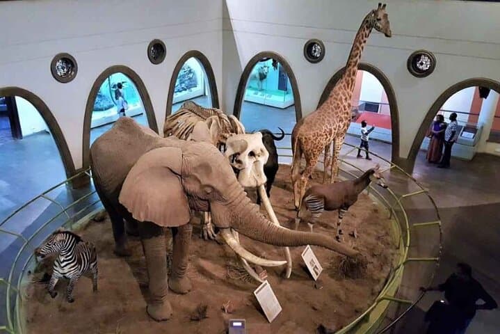 Nairobi National Museum Guided Tour