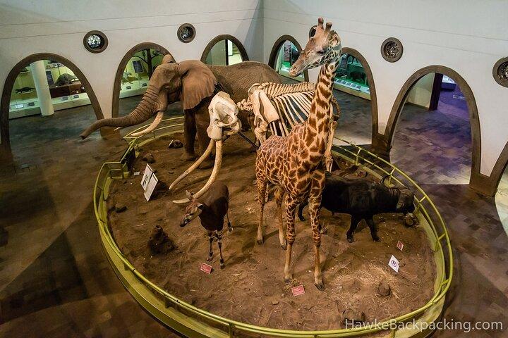 Excursão diurna guiada pelo Museu Nacional de Nairobi e Snake Park