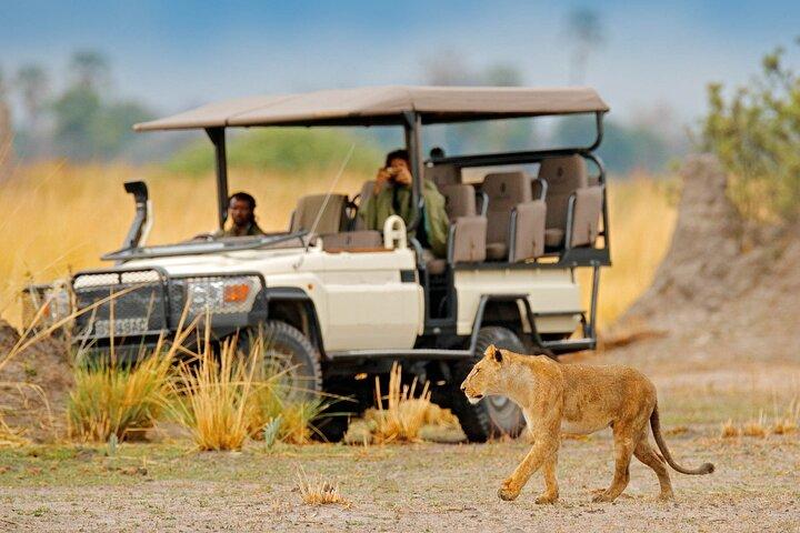 マウン発モレミ日帰り旅行