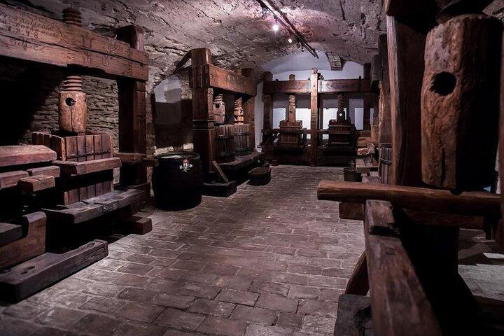 Piccola degustazione di vini dei Carpazi e tour del castello in pietra rossa