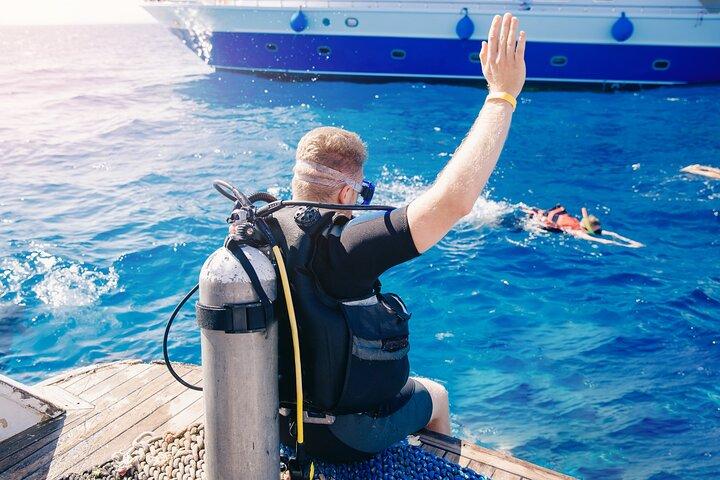 Sharm El Sheikh : Ras Mohammed, white Island, ダイビングボートトリップ