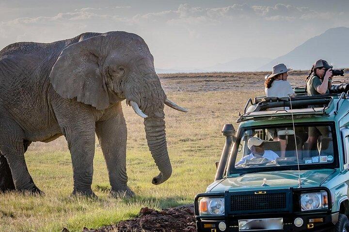 Amboseli National Park and Mount Kilimanjaro View Day Tour