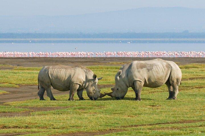 Afrikanische Wildtiersafari 7 Tage