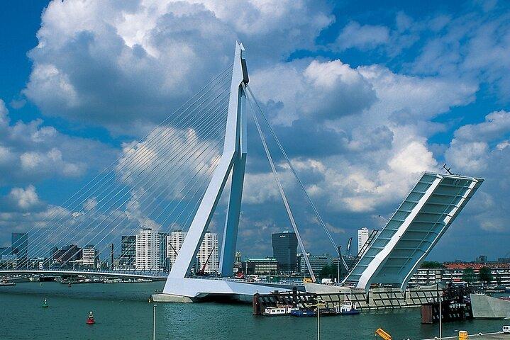 Excursão a pé diária privada em Rotterdam e Delft