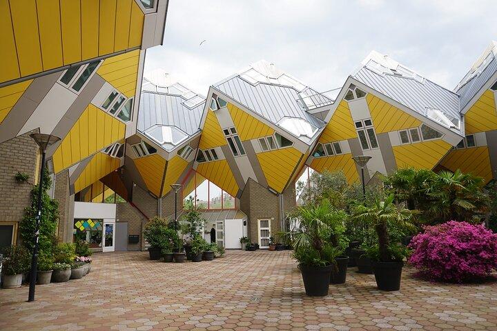 Excursão a pé diária privada em Rotterdam e Delft