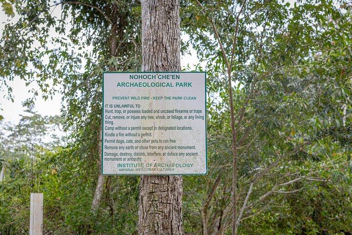 Ganztägige Höhlenröhren, einschließlich Picknick