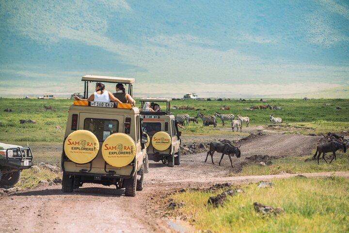 6-dages bedste safari i det nordlige Tanzania