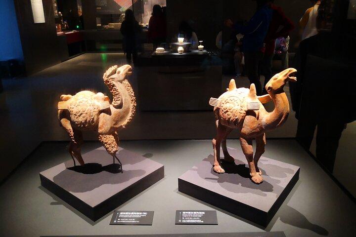 Xi'an historiestudie til Terracotta-hæren og Shaanxi arkæologiske museum