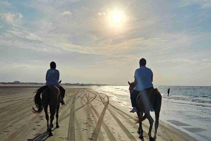 Ridning Muscat Beach