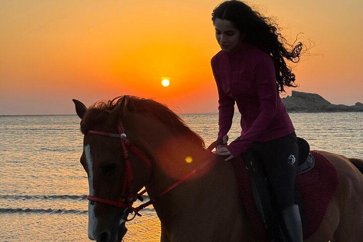 Ridning Muscat Beach