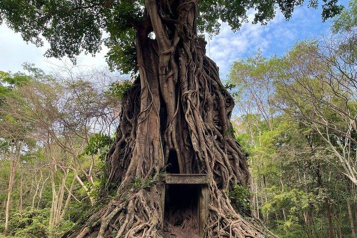 "Hidden Treasures: Beng Mealea og Sambor Prei Kuk Temple-ture