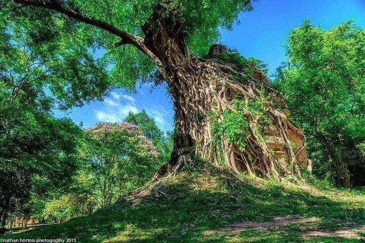 "Hidden Treasures: Beng Mealea og Sambor Prei Kuk Temple-ture