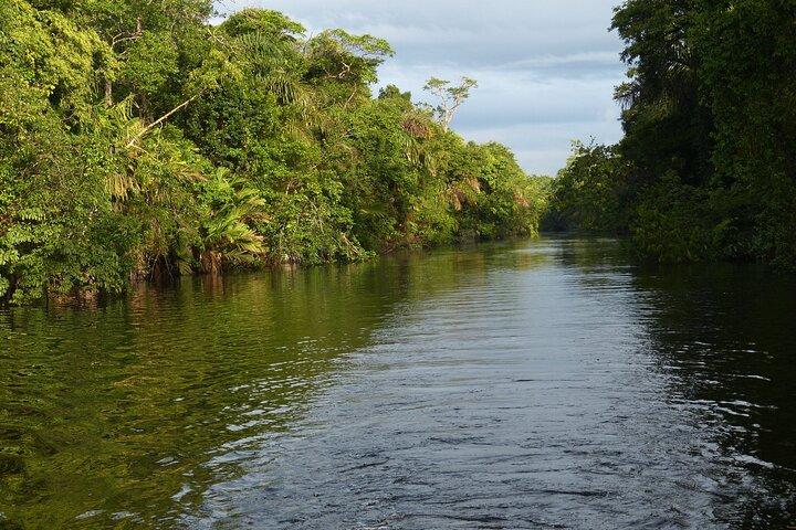 Delt shuttle Arenal til Tortuguero