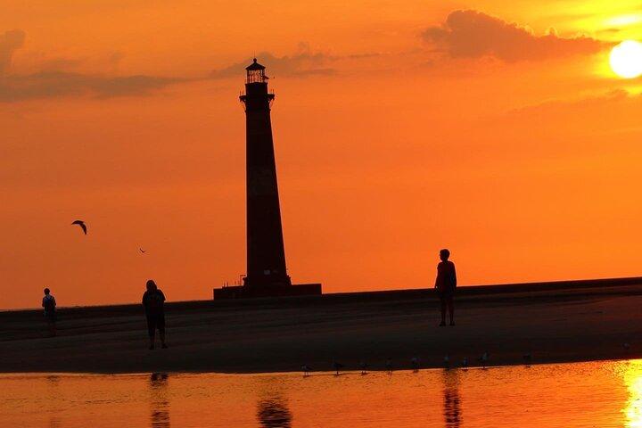 Folly Beach Dolphin Viewing Boat Excursion and Estuary Tour