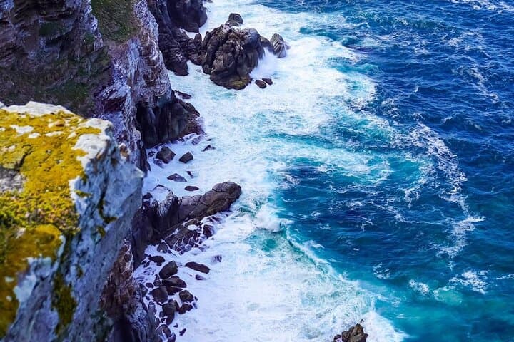 Cape Peninsula Private tour