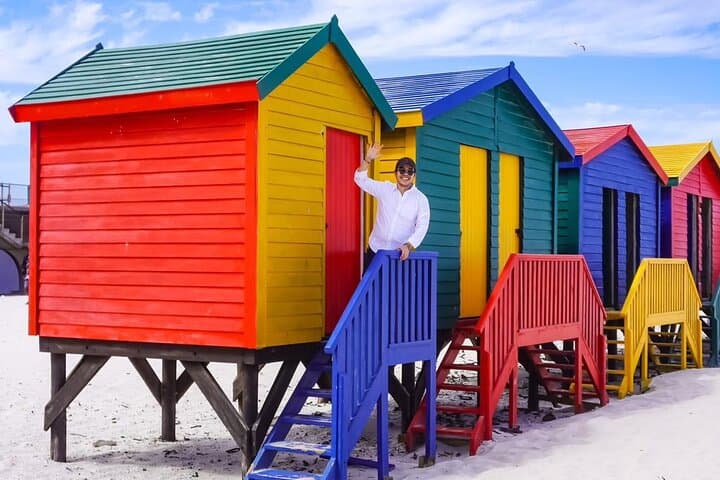 Cape Peninsula Private tour