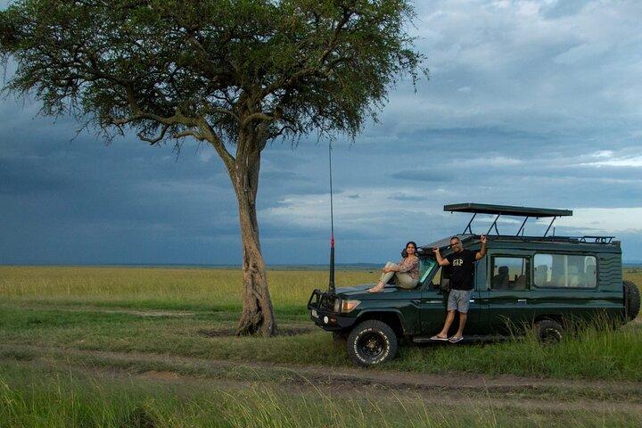 Masai Mara daglige spil drev